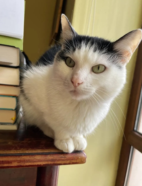 Під час ракетного удару по Львову постраждали ще двоє журналістів: їх врятував одвірок